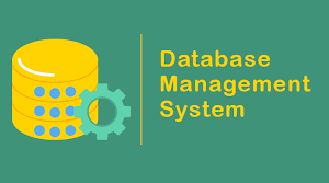 Database Management System