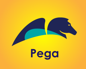 Pega Training