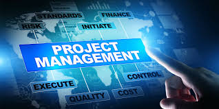 working professional project management