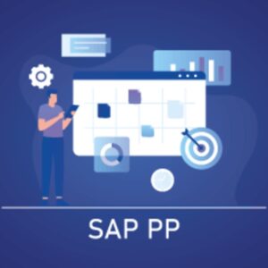 SAP PP (Production Planning) Certified Course