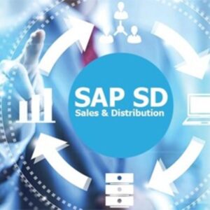 SAP SD (Sales and Distribution) Certified Course