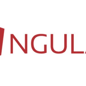 Advance Angular Development Certified Course