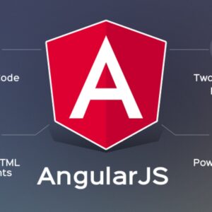 Angular for Web Development Certified Course