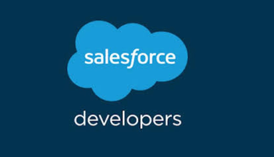 Salesforce Development & Administration Certified Course
