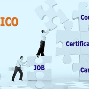 SAP Modules (FICO) Financial Accounting and Controlling Certified Course