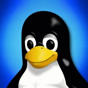 Linux for Developers Certified Course