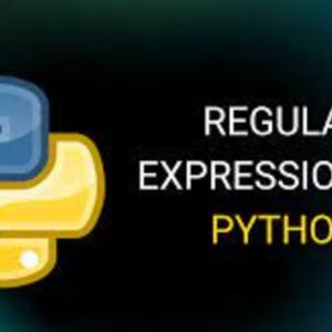 Regular Expressions with Python Certified Course