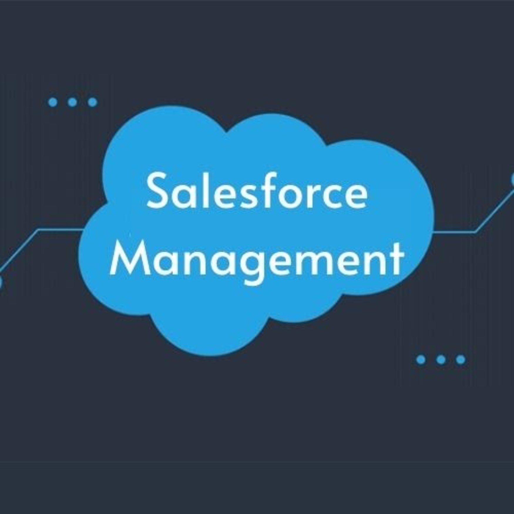 Sale force management/ operation management Certified Course