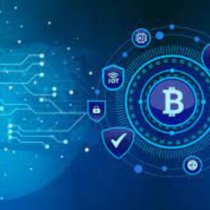 Blockchain Enterprise Solutions Certification Course