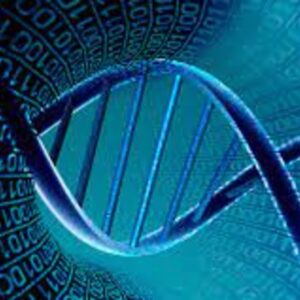Bioinformatics & Genomics Certification Course