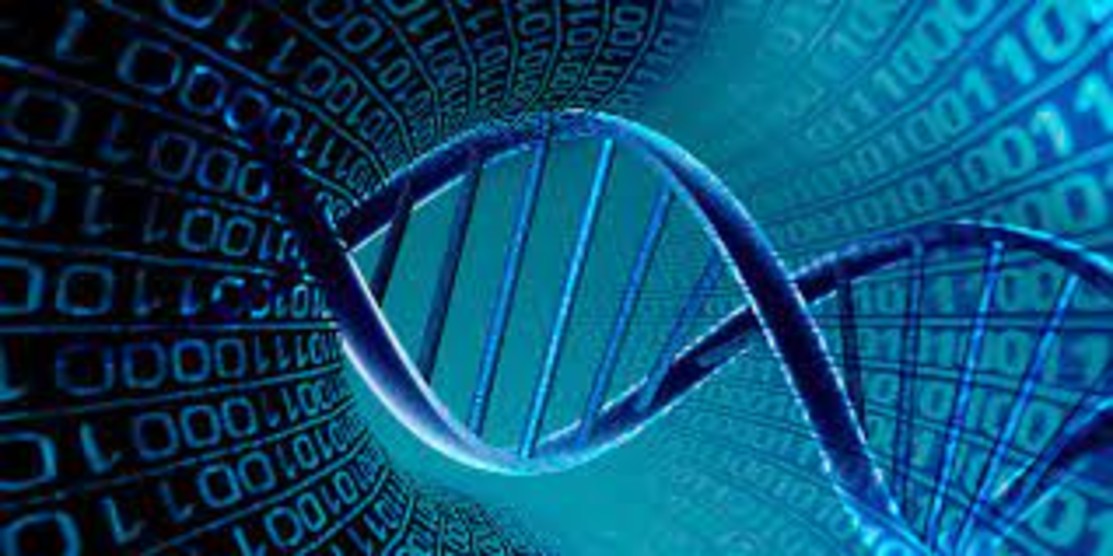 Bioinformatics & Genomics Certification Course