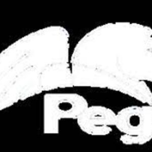 Certified Pega System Architect (CSA) Certified Course