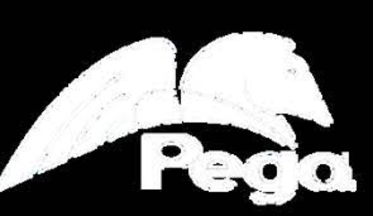 Certified Pega System Architect (CSA) Certified Course