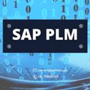 SAP PLM (Product Lifecycle Management) Certified Course