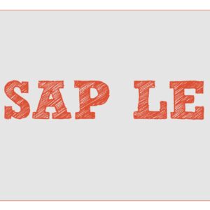 SAP LE (Logistics Execution) Certified Course