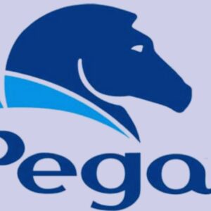 Pega cutomer services framework traing Certified Course