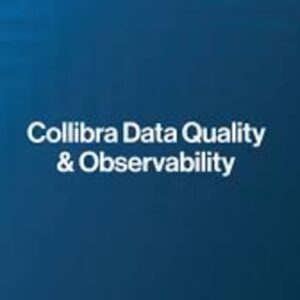 Collibra Data Governance & Catalog (DGC) – Advanced Certified Course