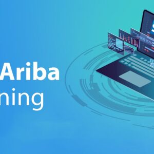SAP ARIBA Certified Course