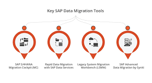 SAP Data Migration & Data Quality Certified Course
