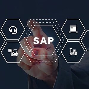 SAP Customer Service (CS) Certified Course
