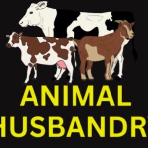 Animal Husbandry Certified Courses