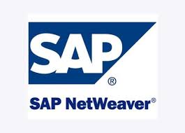 SAP NetWeaver BI (Business Intelligence) Certified Course