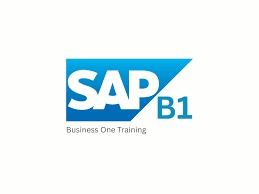 SAP Business One Certified Course