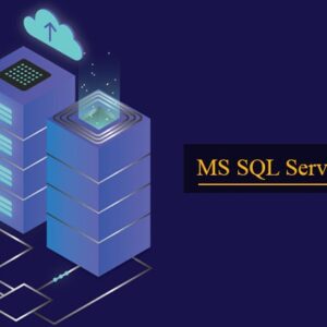 MS SQL Developing Training Certified Course