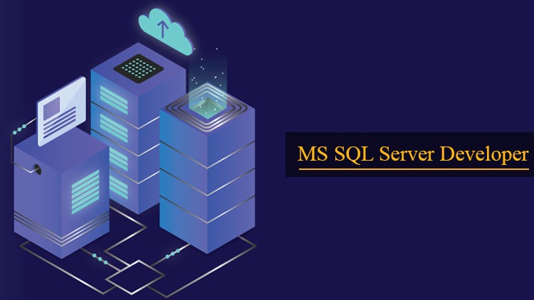 MS SQL Developing Training Certified Course