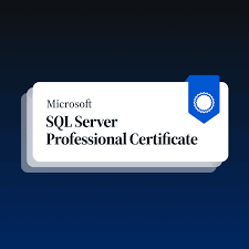 MS SQL Developing Training Certified Course