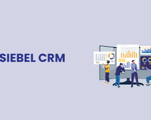 Siebel CRM Certified Course