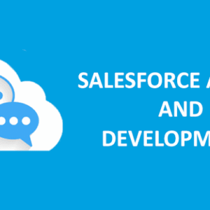Salesforce Development & Administration Certified Course