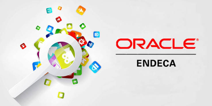 Oracle Endeca BI Certified Course