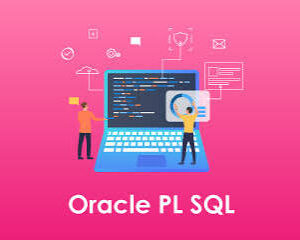 Oracle PL/SQL Certified Course